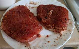 Рецепт маринования мяса для барбекю из свинины. Сочная свинина на мангале — как мариновать мясо для шашлыка, барбекю, гриля или жарки на решетке