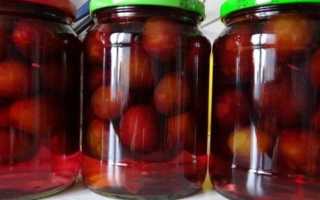 Маринованные сливы к мясу: рецепт приготовления. Как мариновать сливы?