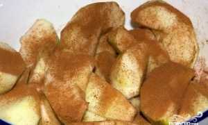 Рецепты бисквита с яблоками в духовке – простая и вкусная выпечка на скорую руку