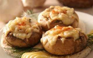 Фаршированные шампиньоны с курицей и сыром в духовке – 7 рецептов