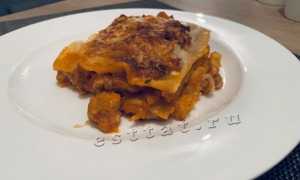 Лазанья с курицей — 2 рецепта с фото (с куриной грудкой и фаршем)