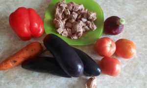 Баклажаны с мясом по-китайски – по следам загадочного Востока. Рецепты баклажанов с мясом по-китайски в разных соусах