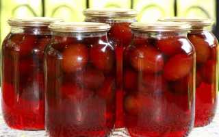 Компот из сливы с яблочным уксусом. Компот из слив на зиму (без стерилизации)