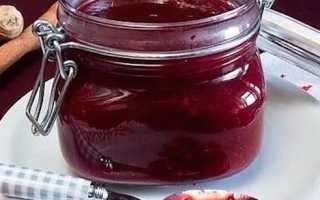 Аджика из слив – как приготовить ароматный соус в домашних условиях