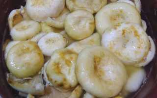 Засолка груздей холодным способом на зиму — очень вкусные и всегда удачные рецепты