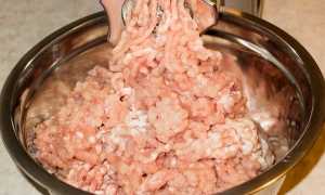 Рецепты рубленных колбасы со шприцом для. Рецепт приготовления с пошаговыми фото рубленой колбасы из свинины в домашних условиях. Домашняя колбаса из индейки
