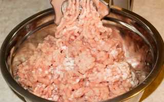 Рецепты рубленных колбасы со шприцом для. Рецепт приготовления с пошаговыми фото рубленой колбасы из свинины в домашних условиях. Домашняя колбаса из индейки